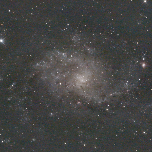 Messier 33 (Triangulum Galaxy) — face-on spiral, deeper Plau am See session 11 Oct 2025