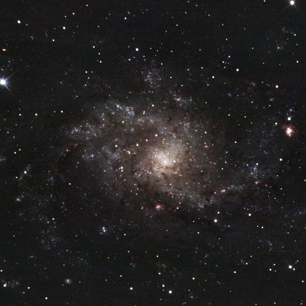 Messier 33 (Triangulum Galaxy) — face-on spiral, deeper Plau am See session 11 Oct 2025