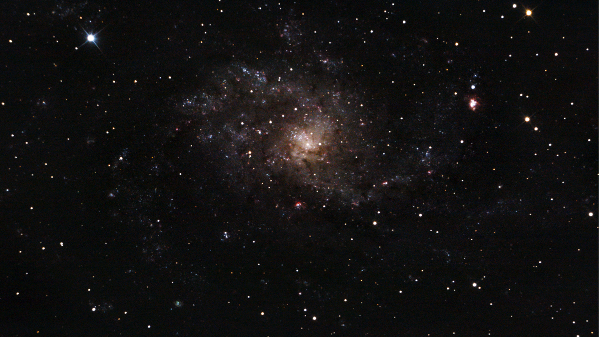 Messier 33 (Triangulum Galaxy) — face-on spiral, deeper Plau am See session 11 Oct 2025