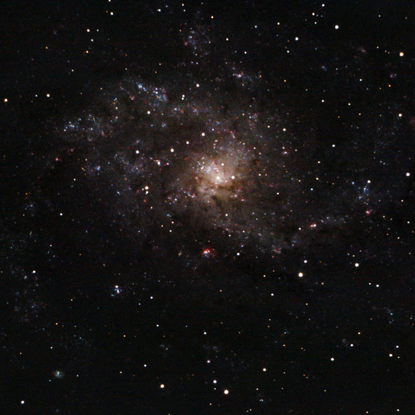 Messier 33 (Triangulum Galaxy) — face-on spiral, deeper Plau am See session 11 Oct 2025