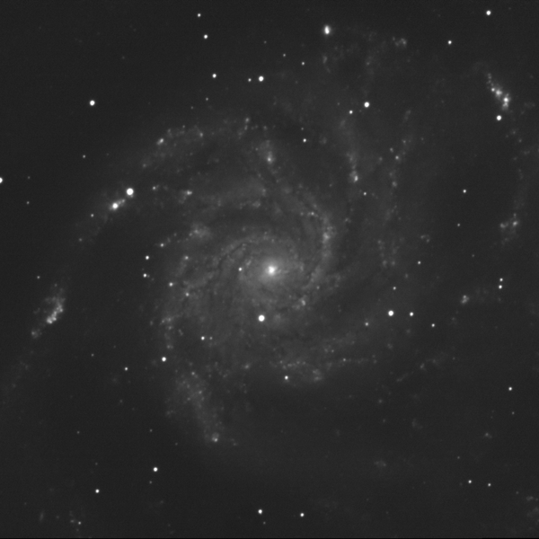 Messier 101 (Pinwheel Galaxy) in Ursa Major — mono LRGB + Hα stack from Plau am See