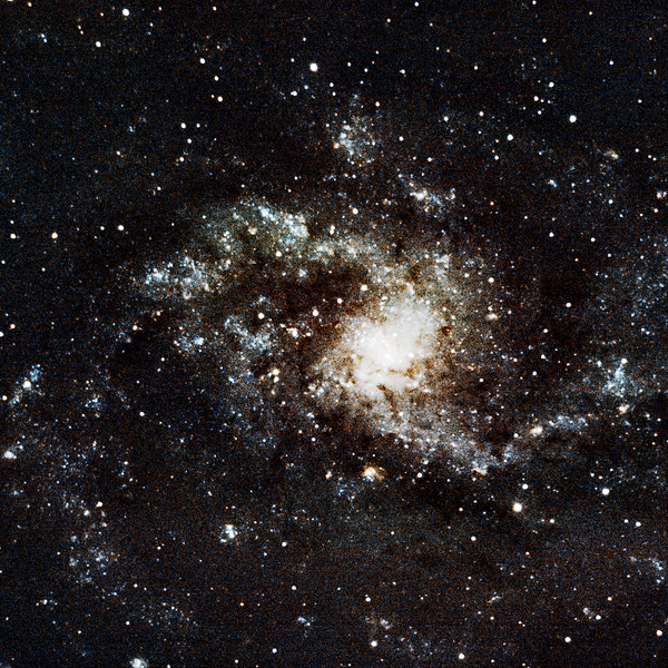 Messier 33 (Triangulum Galaxy) — face-on spiral in the Local Group, photographed from Plau am See on 6 Sep 2025