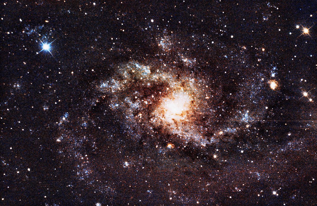 Messier 33 (Triangulum Galaxy) — face-on spiral in the Local Group, photographed from Plau am See on 6 Sep 2025