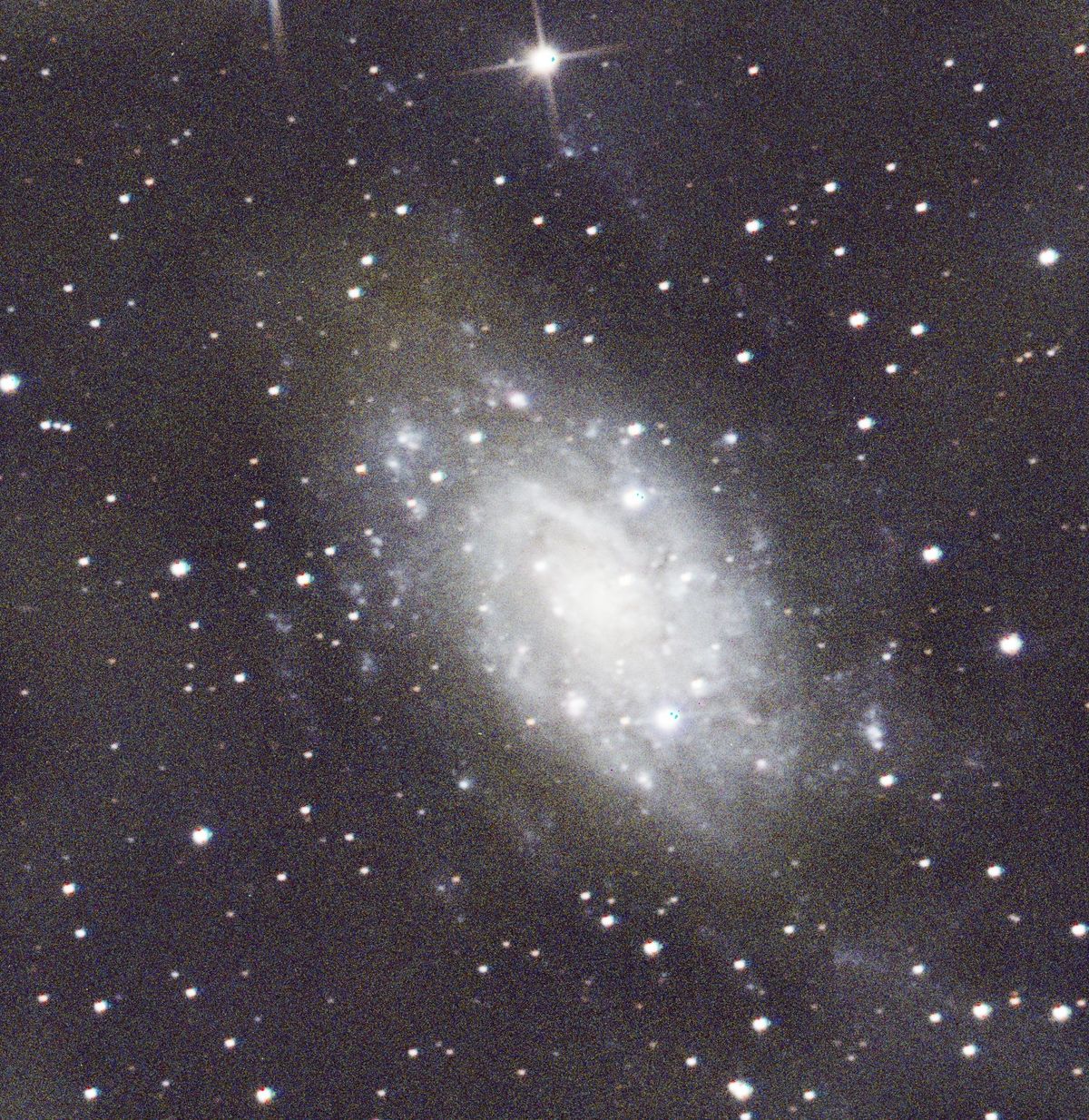 कैमलोपार्डालिस तारामंडल में सर्पिल आकाशगंगा NGC 2403, जिसकी भुजाएँ गुलाबी हाइड्रोजन तारा-निर्माण क्षेत्रों से जड़ी हैं
