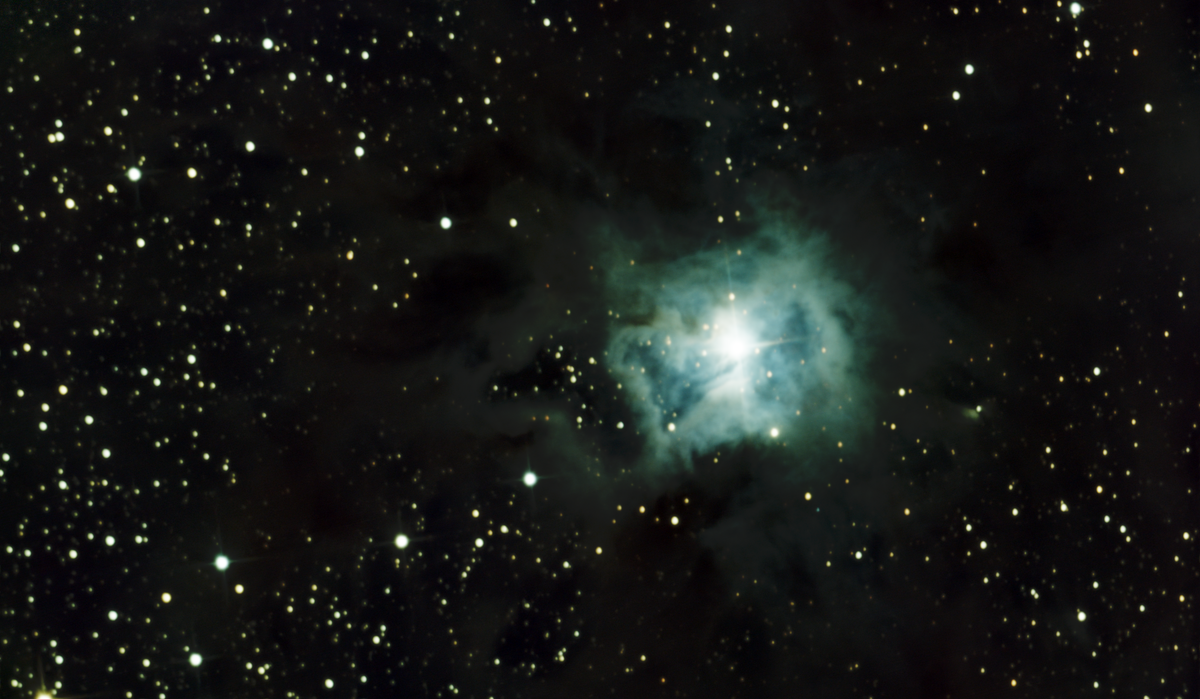 NGC 7023 (Iris Nebula) in Cepheus — blue reflection nebula in LDN 1174, photographed from Plau am See on 19-20 Oct 2025