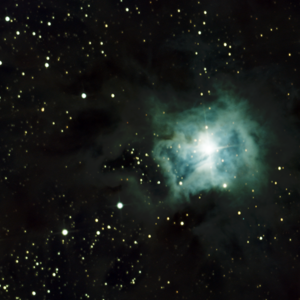NGC 7023 (Iris Nebula) in Cepheus — blue reflection nebula in LDN 1174, photographed from Plau am See on 19-20 Oct 2025